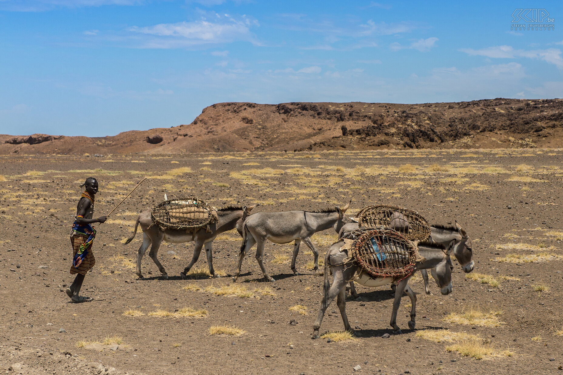 Lake Turkana - Donkeys A young Turkana man with his donkeys that are used as pack animals. Stefan Cruysberghs